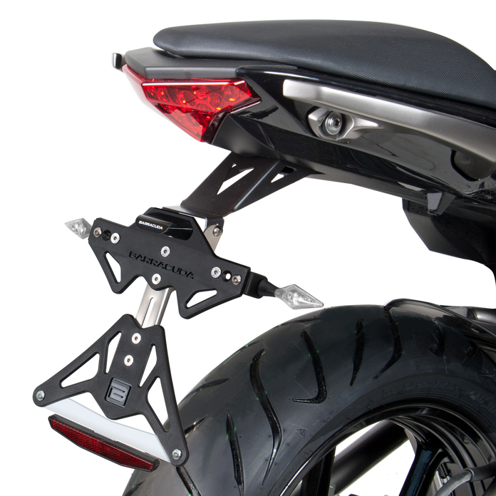 Kennzeichenhalter Kawasaki ER6-N ab 2012