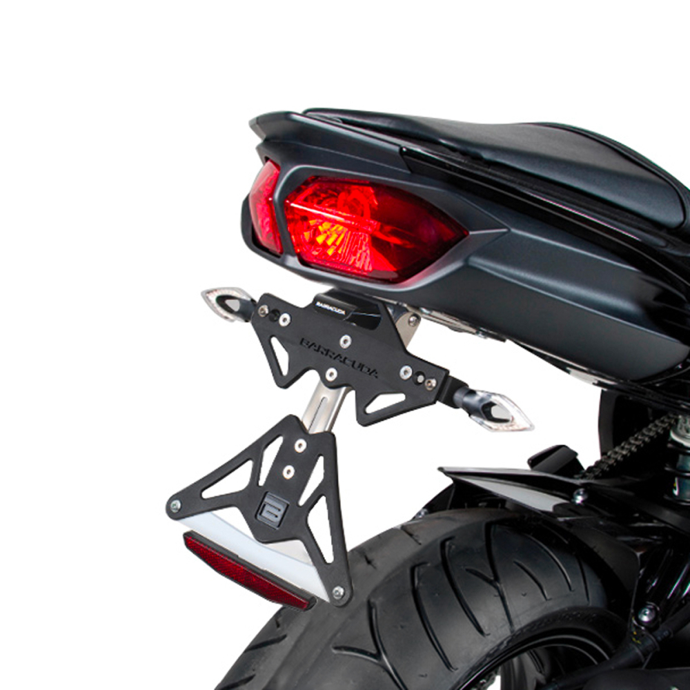 Kennzeichenhalter Yamaha FZ8