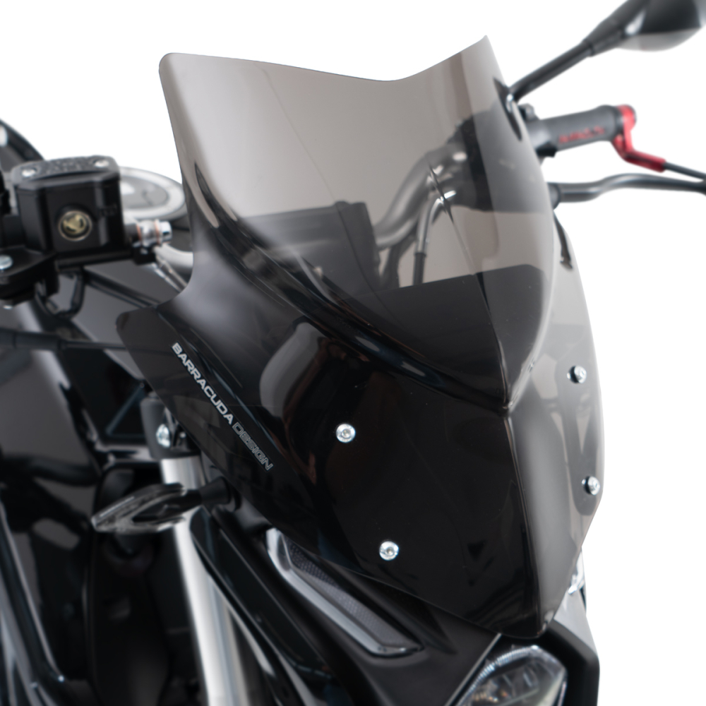 WINDSCHUTZSCHEIBE AEROSPORT