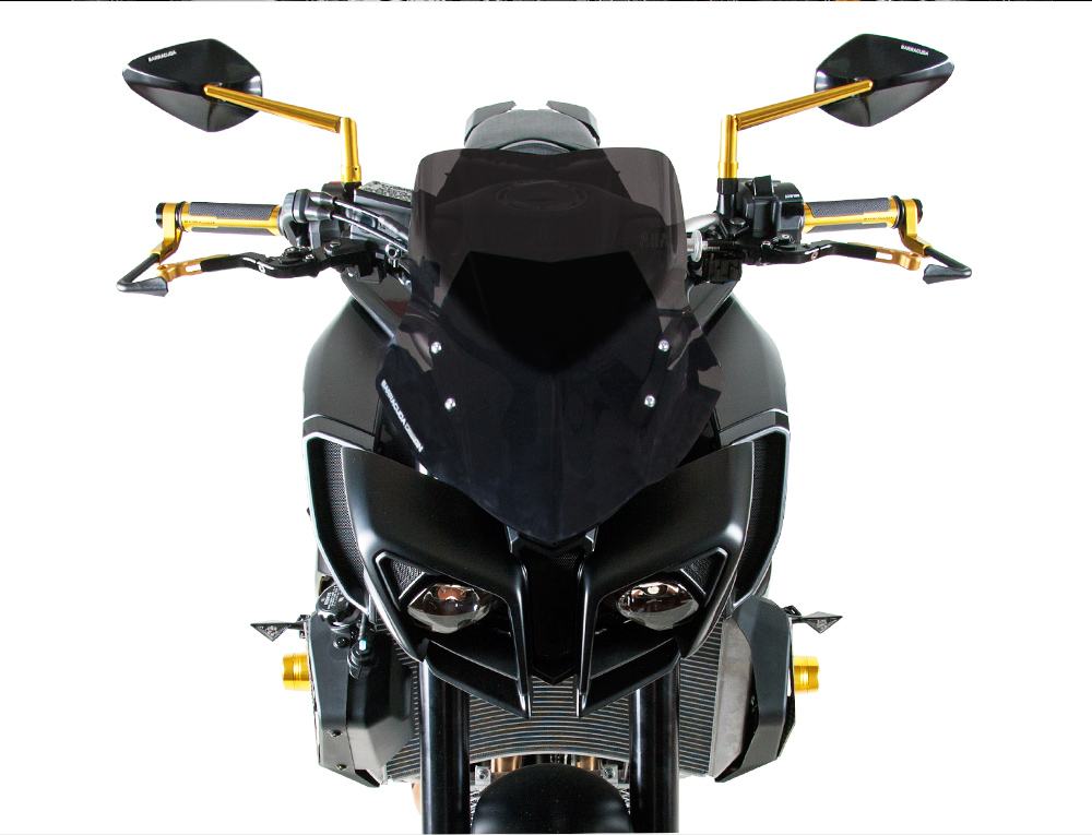 Barracuda yamaha mt 10